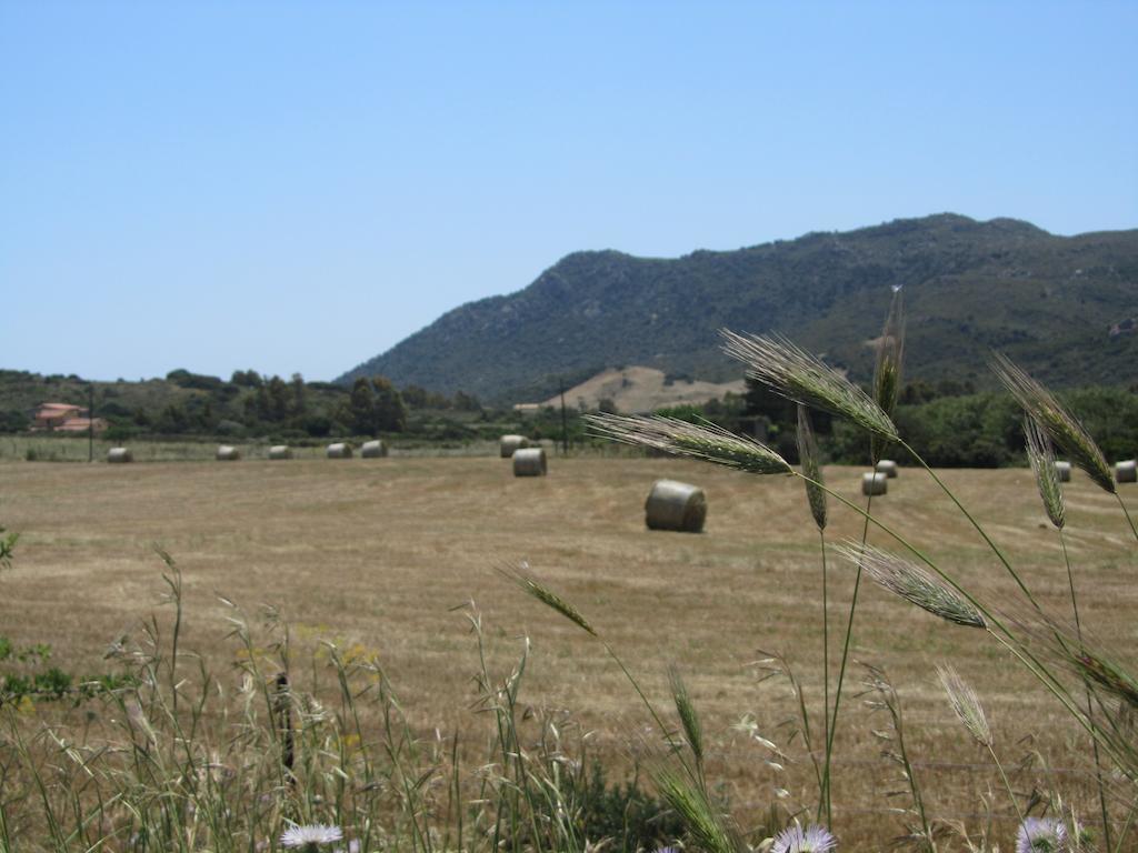 Agriturismo Sa Tiria Теулада Екстер'єр фото